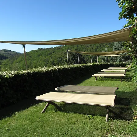 Bosco Della Spina 무를로