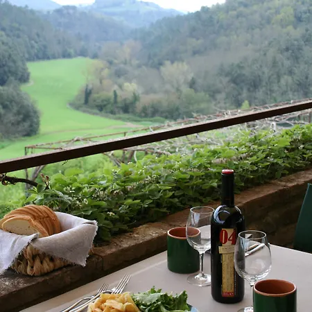 Bosco Della Spina * Murlo
