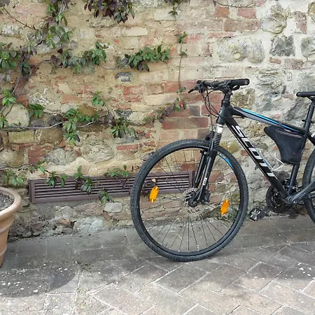 Bosco Della Spina Murlo
