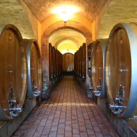 Bosco Della Spina Murlo