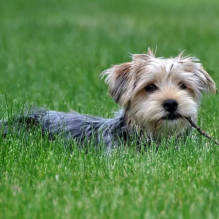 Bosco Della Spina * Murlo