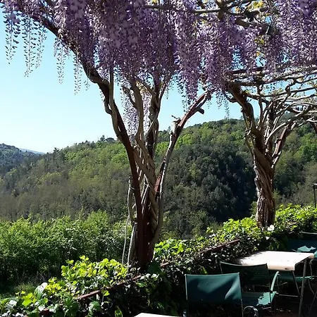 בית כפרי Bosco Della Spina מורלו